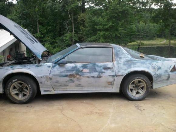 The day I brought it home