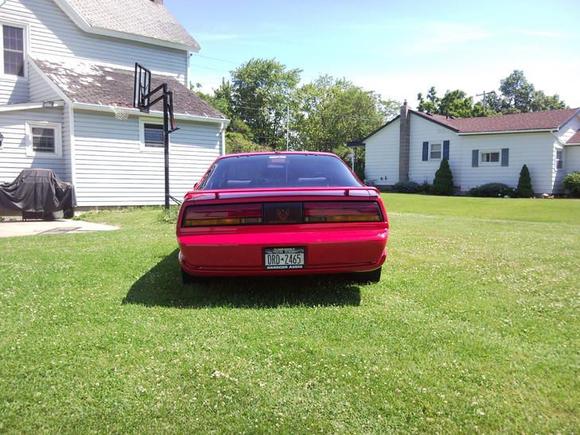 A clean back picture of the car....the car actually sits level, idk why it was sitting like that in the lawn?
