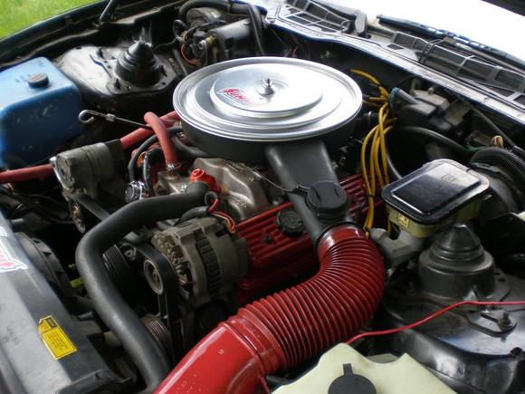 My New Chevy 350 Bored .30, Mild Raceing Cam, Hooker Headers. This Picture Dont show the edlebrock Strut Tower Brace I Put in 3 weeks later and New Edlebrock Air Cleaner.