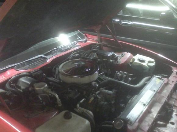 Angle of the engine bay with new filter