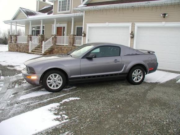 mustang 010