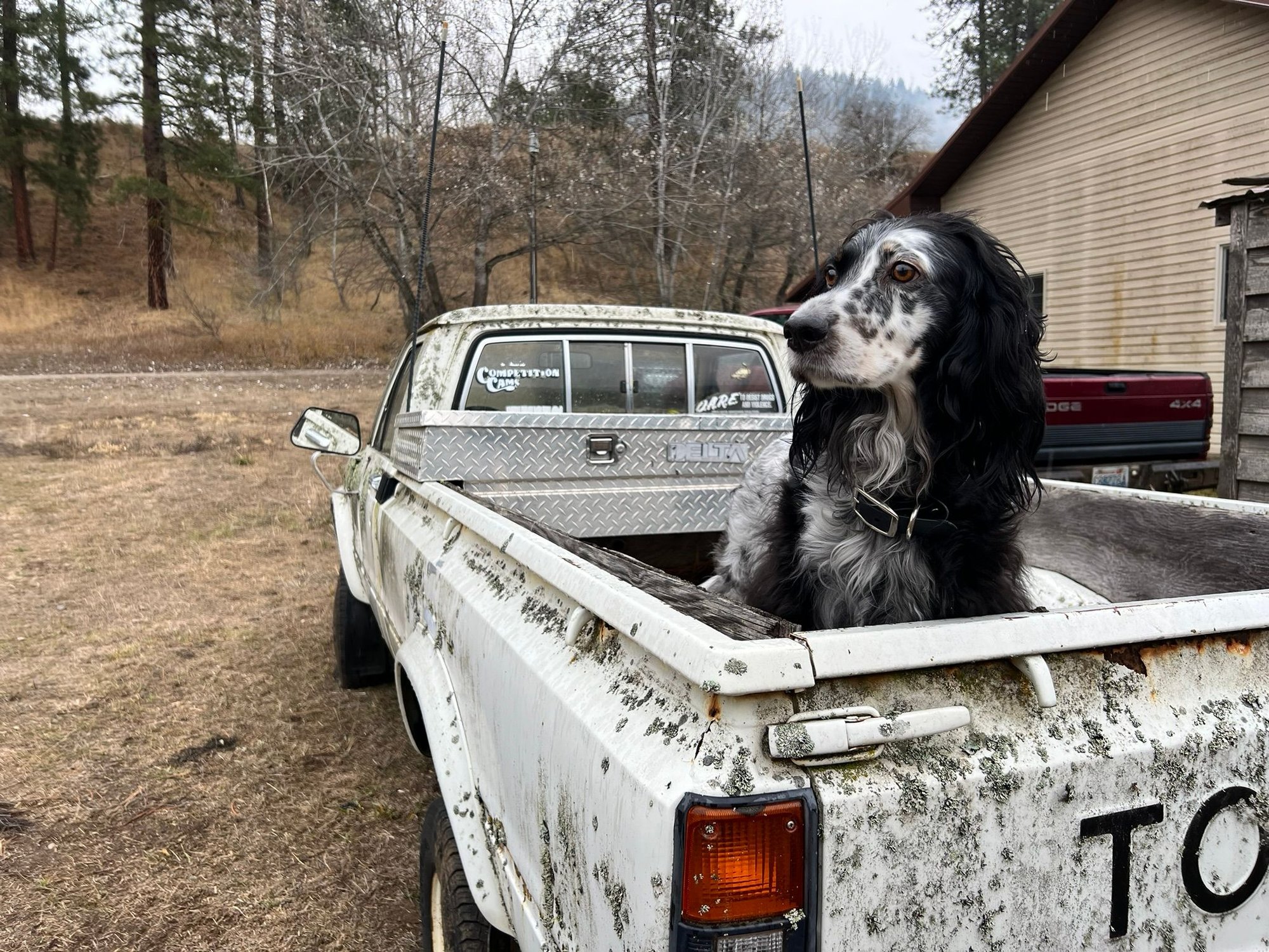 Puppy approved