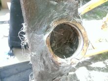 sets up in less than 5 minutes so work fast