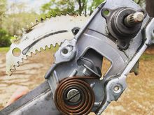 teeth are worn pretty bad.  