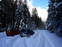 20090310 20090310  MG 5632