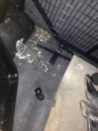 blurry pic of mouse carnage and tether anchor