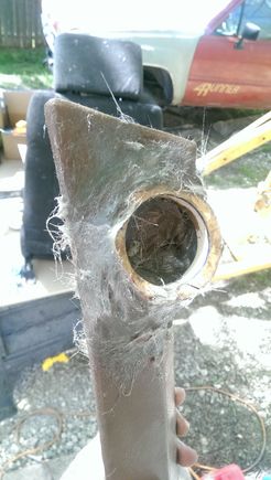 sets up in less than 5 minutes so work fast