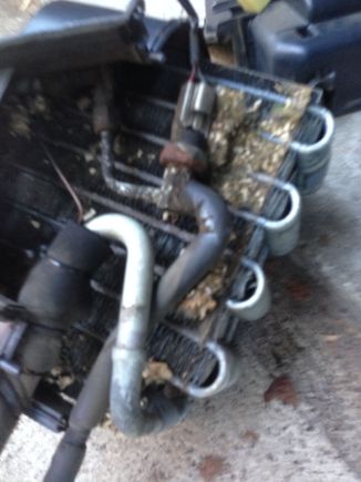 This was after vac via the blower motor hole