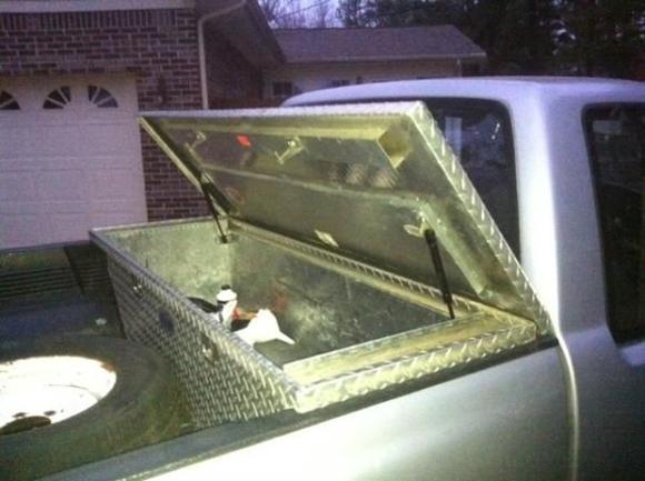 Toolbox opened.
Contains: 
Power steering fluid
Brake fluid
Oil
Funnel and Rag