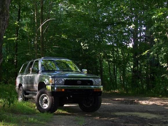 Stop in the Woods