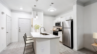 Halston McDonough Apartment Homes - McDonough, GA