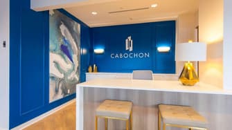 The Cabochon at River Oaks Apartments - Houston, TX