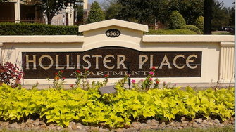 Hollister Place Apartments - Houston, TX