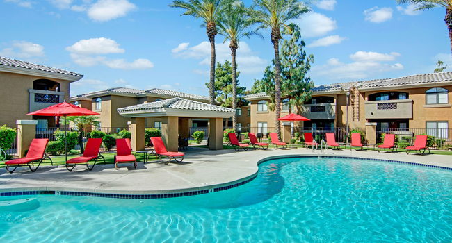An outdoor pool with lounge chairs and palm trees