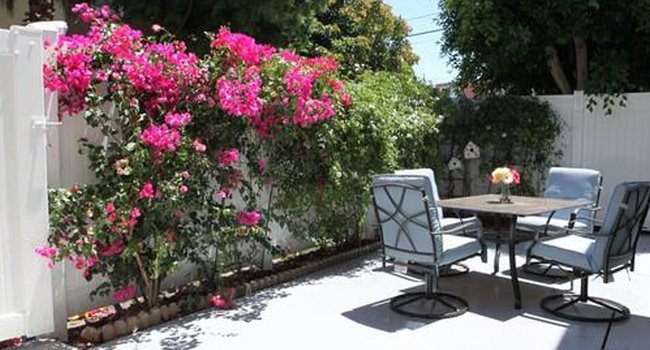 Patio Gardens Apartments 61 Reviews Long Beach Ca Image Of Patio Gardens Apartments In Long Beach Ca