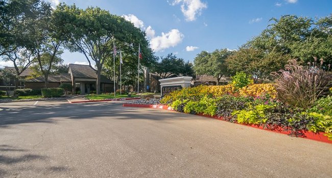 Legacy Apartments 67 Reviews Plano Tx Apartments For Rent