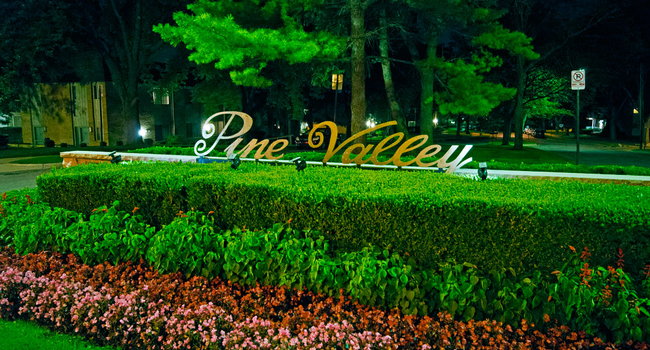 Pine Valley - Ann Arbor MI