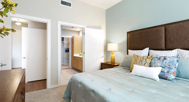 Mosaic at Mueller Luxury Apartments - 73 Reviews | Austin, TX