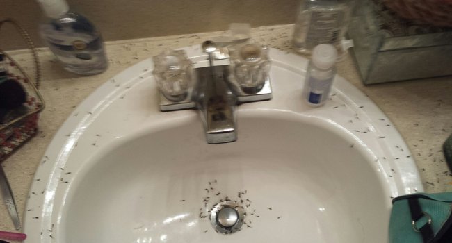 The Pointe Apartments 145 Reviews Stone Mountain Ga