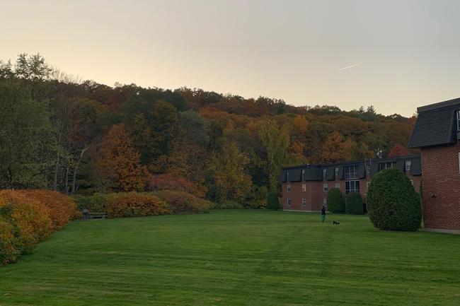 ReNew Tatnuck Square - 46 Reviews | Worcester, MA Apartments for Rent