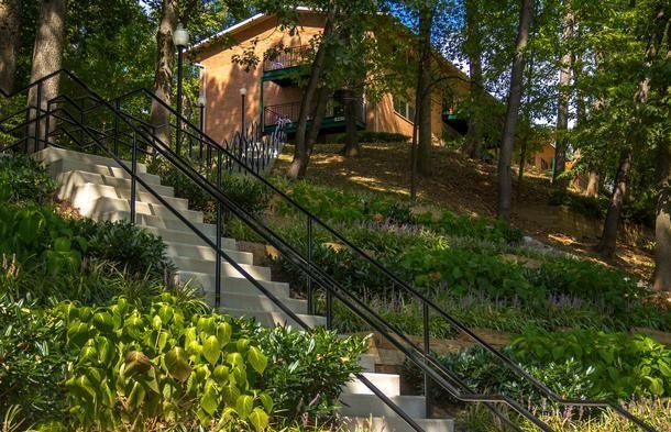 Nob Hill Apartments Silver Spring Md